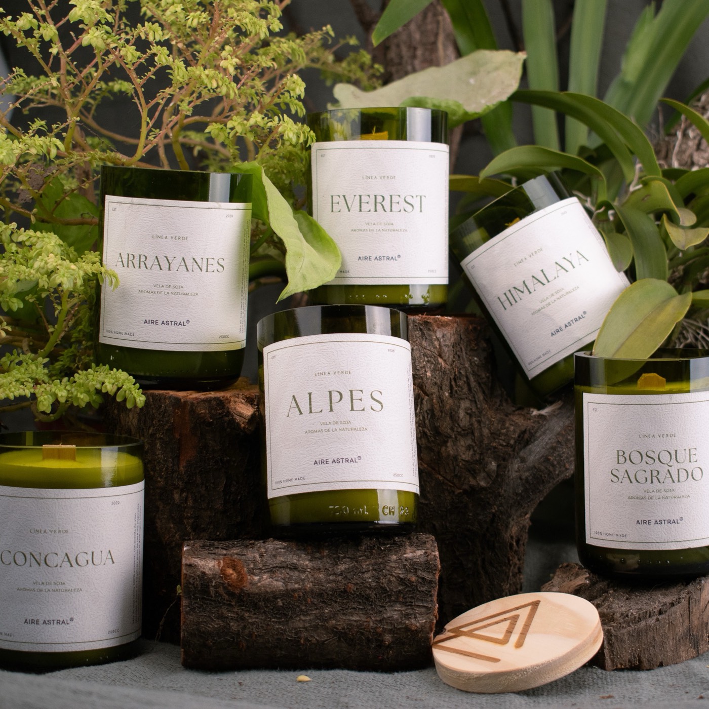 Velas Arrayanes, Everest, Alpes e Himalaya entre plantas y troncos