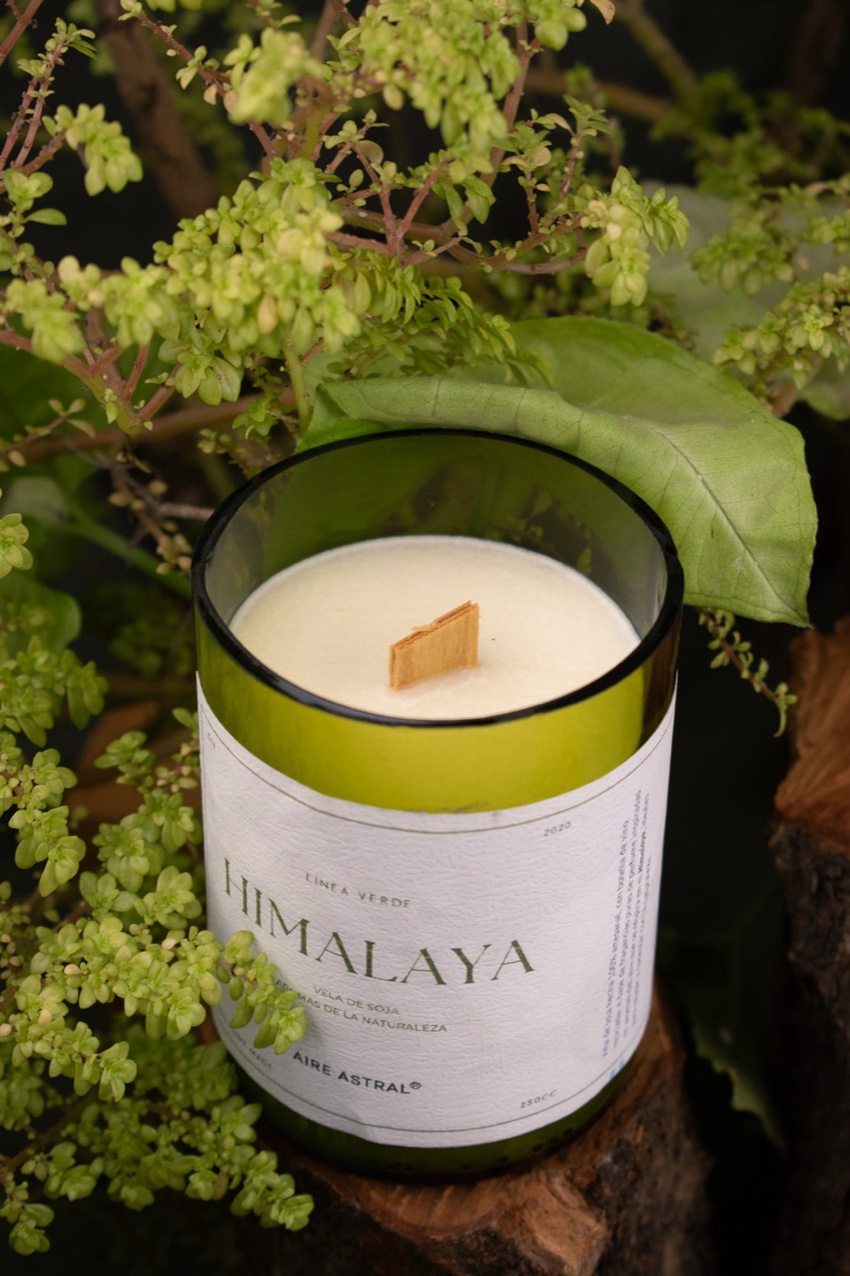 Vela Himalaya encendida entre hojas