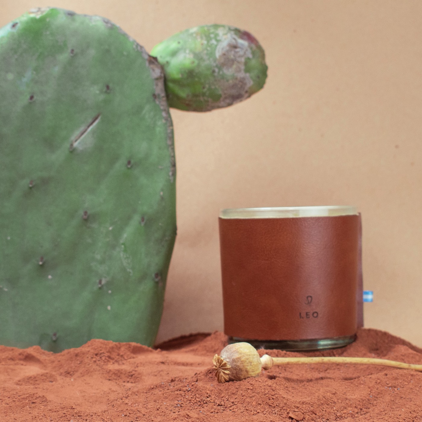 Vela de Leo junto a un cactus